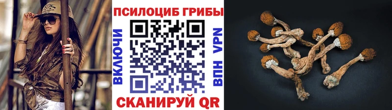 Псилоцибиновые грибы ЛСД  Елец 