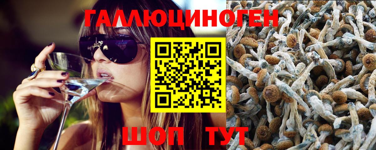 Галлюциногенные грибы Magic Shrooms  Вход с VPN  где купить   Елец 