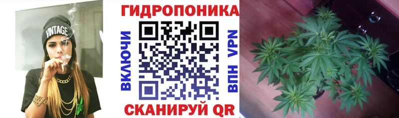 Канабис гибрид Елец