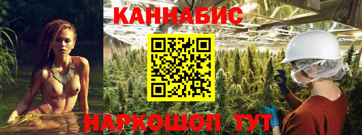 Марихуана сатива  Конопля тримм  Вход с VPN  Елец  Бошки Шишки VHQ 